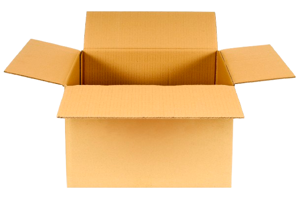 Carton Box 20 inches